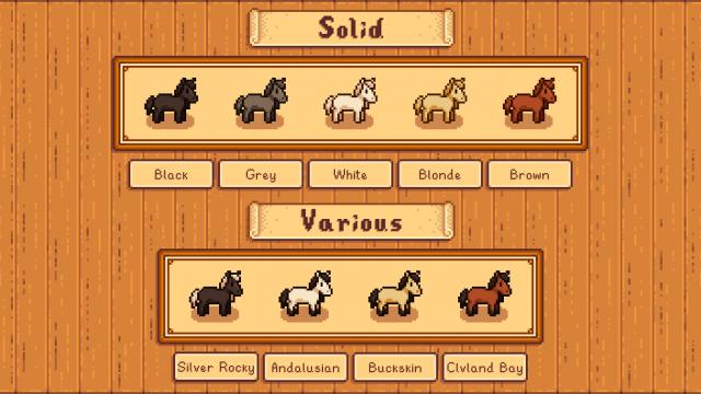 Elle&rsquo;s New Horses -