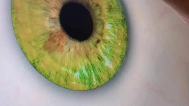 The Eyes of Beauty - Starfield Edition for Starfield