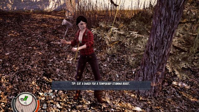 Maya Torres Replacement for State Of Decay