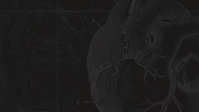 Классические экраны загрузки / Classic Loading Screens для State Of Decay 2