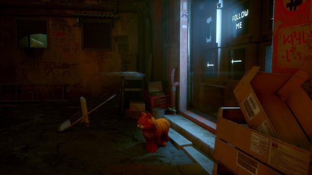 Garfield - Cartoon Edition for Stray