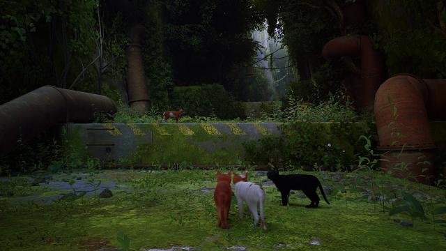 Photorealistic Preset for Stray