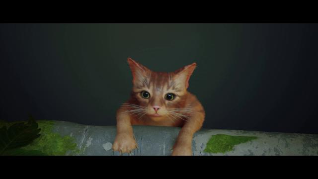 Photorealistic Preset