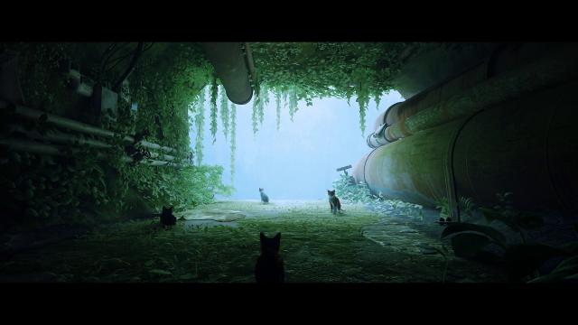 Photorealistic Preset for Stray