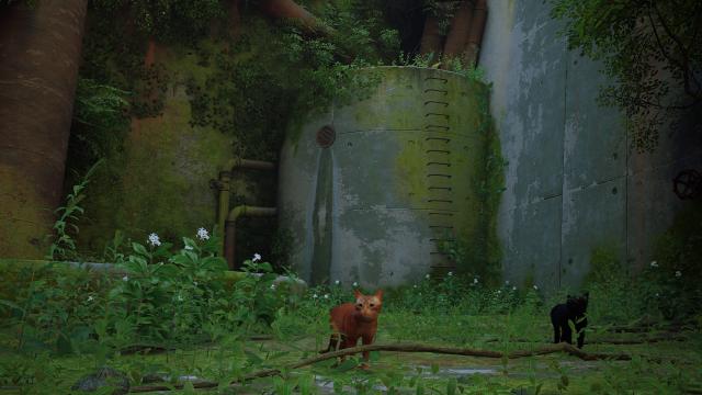 Photorealistic Preset for Stray