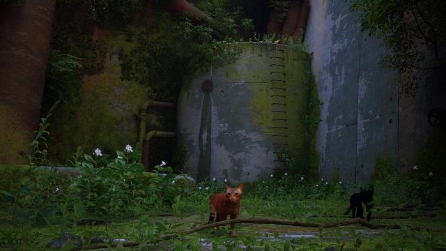 Photorealistic Preset for Stray