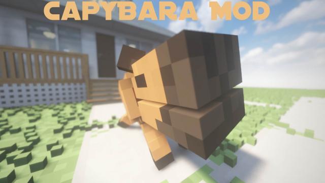 Capybaras