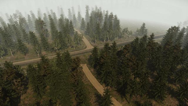 Polish Border