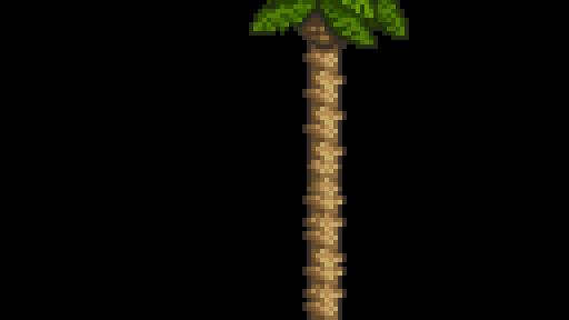 Банановое дерево / Banana treeeee