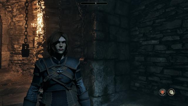 Witcher Gear для Oblivion Remastered