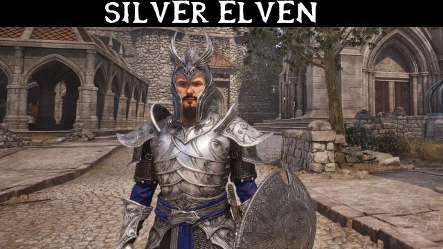Silver Elven Armor and Weapons