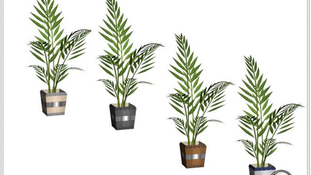 Wuulm living room plant