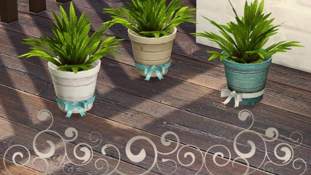 Breezy plant