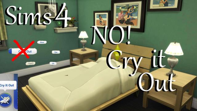 Симы больше не будут плакать! / NO! Cry it Out