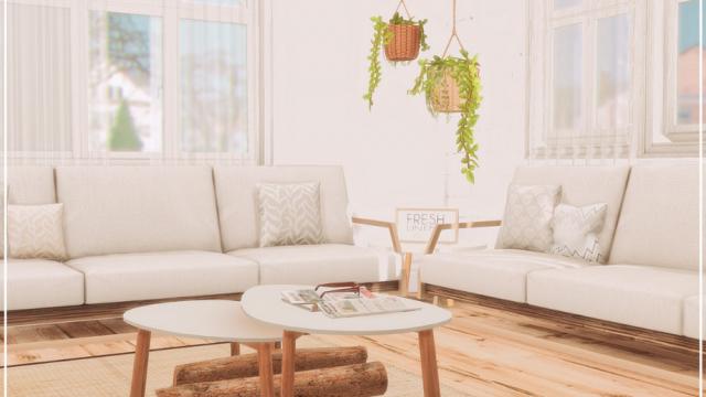 Farmhouse Living room
