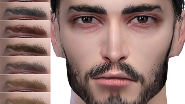 Eyebrows N101
