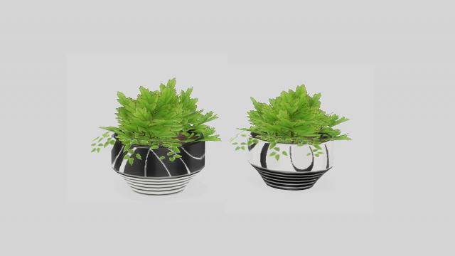 Black White Bedroom - Plant