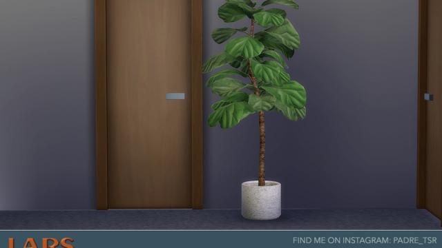 Lars Living Room - Indoor Ficus Lyrata - Fig Plant для The Sims 4