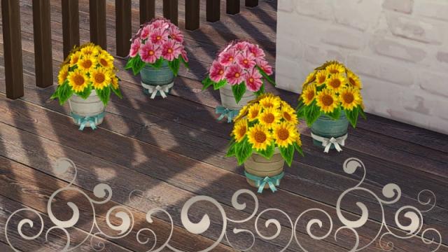 Breezy flowers