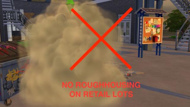 Никаких грубых действий на торговых площадках / No Roughhousing on Retail Lots