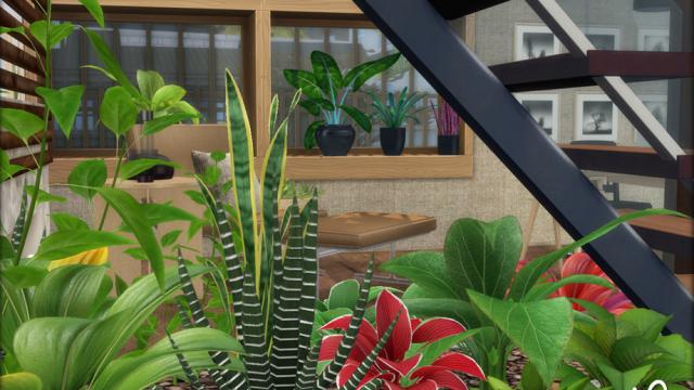 Zen Office (Room) for The Sims 4