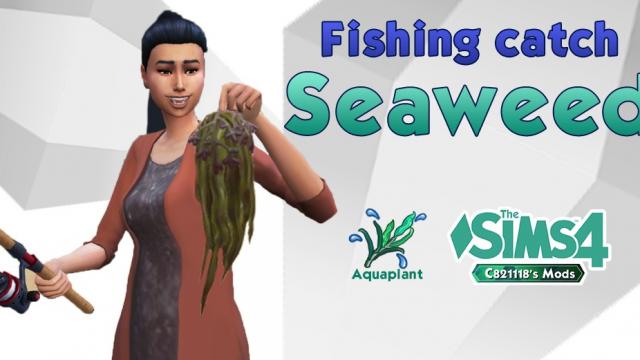 Edible Seaweed(1.77): Fishing reward and Cooking ingredients