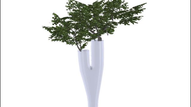 Japandi PlantLarge