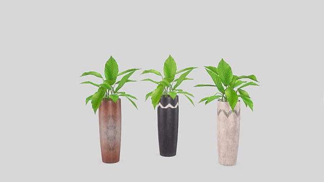 Gourmet Kitchen - Plant