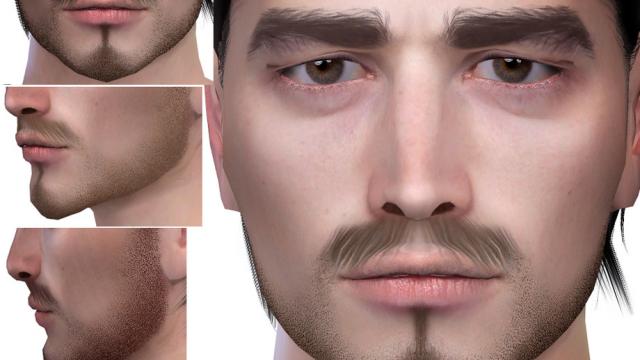 Beard N70