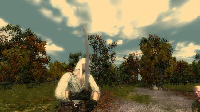 Глобальная переработка мечей / Complete Sword Overhaul для The Witcher