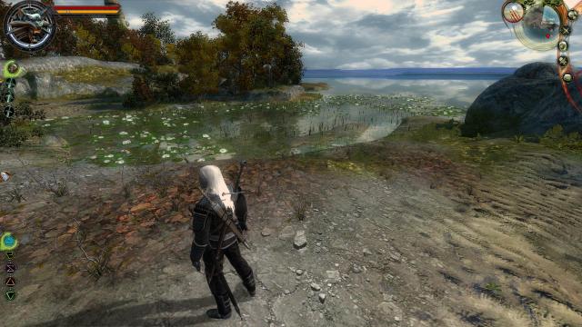 Глобальная переработка мечей / Complete Sword Overhaul для The Witcher
