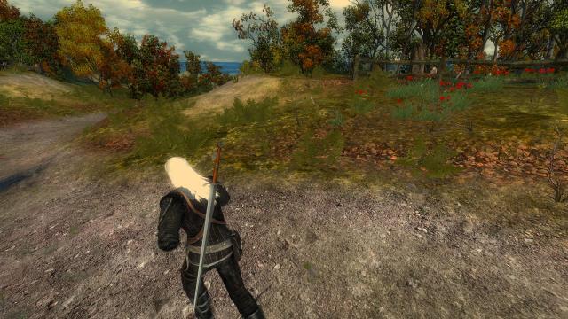 Глобальная переработка мечей / Complete Sword Overhaul для The Witcher