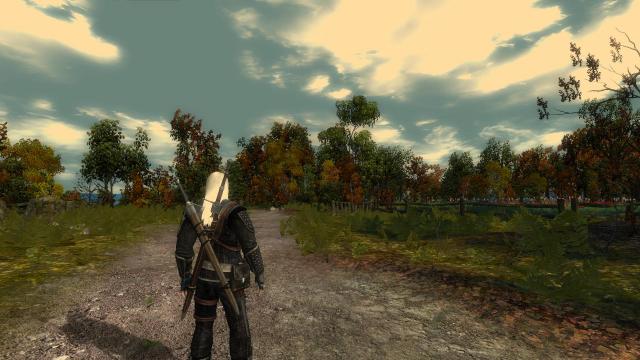 Глобальная переработка мечей / Complete Sword Overhaul для The Witcher