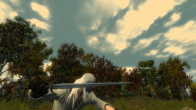 Глобальная переработка мечей / Complete Sword Overhaul для The Witcher