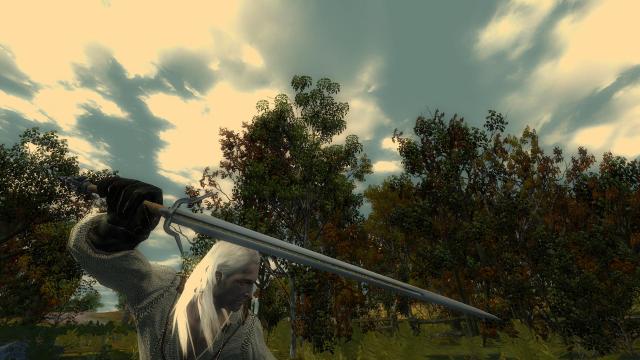 Глобальная переработка мечей / Complete Sword Overhaul для The Witcher