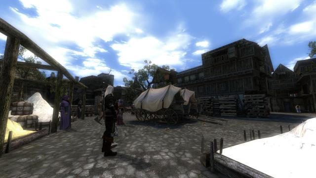 The Witcher Overhaul Project for The Witcher