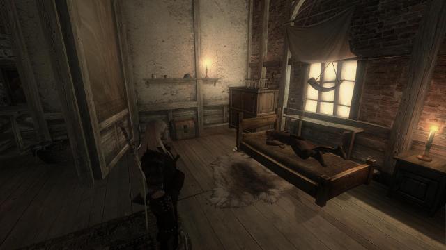 The Witcher Overhaul Project for The Witcher