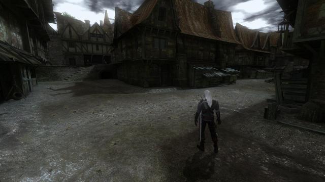 The Witcher Overhaul Project for The Witcher
