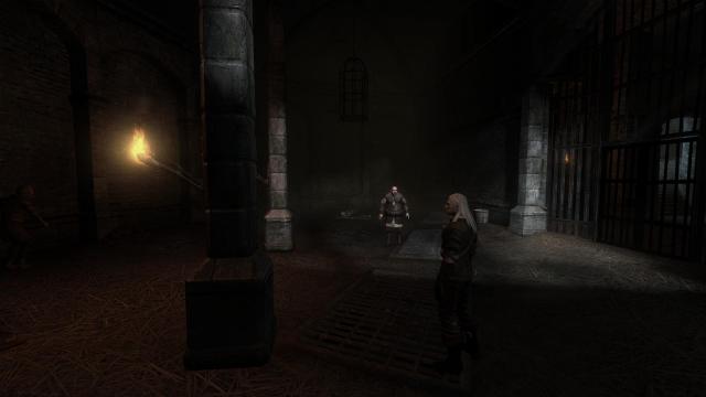 The Witcher Overhaul Project for The Witcher