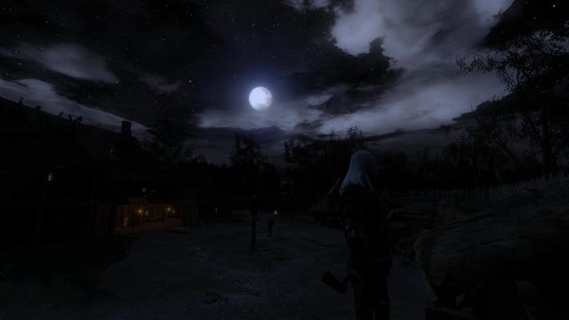 The Witcher Overhaul Project for The Witcher