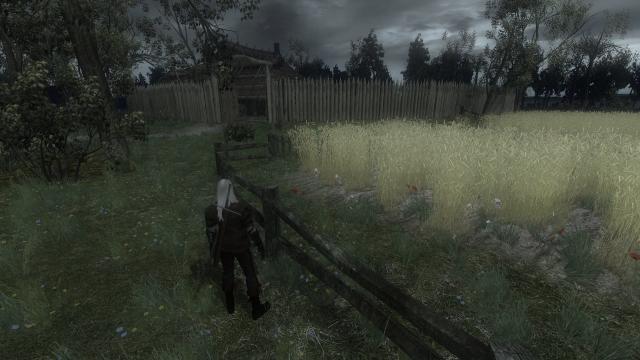 The Witcher Overhaul Project for The Witcher