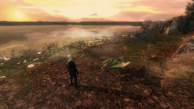 The Witcher Overhaul Project for The Witcher