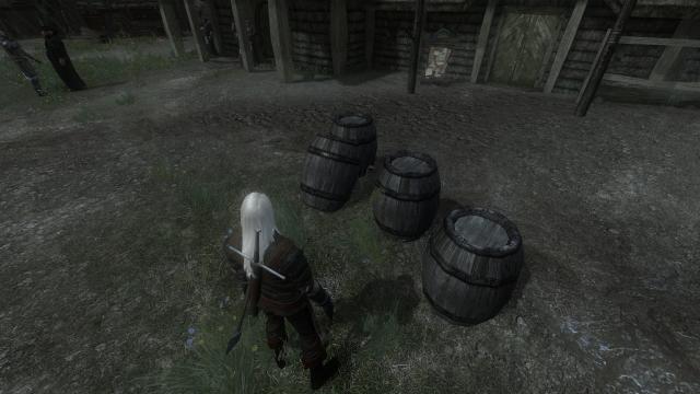 The Witcher Overhaul Project for The Witcher