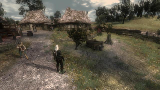 The Witcher Overhaul Project for The Witcher