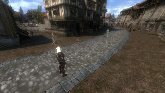 The Witcher Overhaul Project for The Witcher