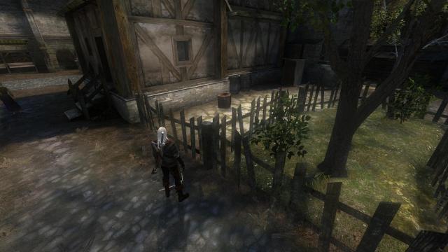 The Witcher Overhaul Project for The Witcher