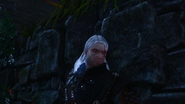 Witcher 1 Geralt face for witcher 2 для The Witcher 2