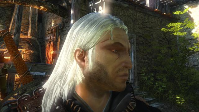 Witcher 1 Geralt face for witcher 2 для The Witcher 2