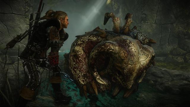 Better Texture Environment for The Witcher 2