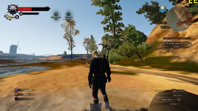 The Witcher 3  Witcher 3 Ultra Low